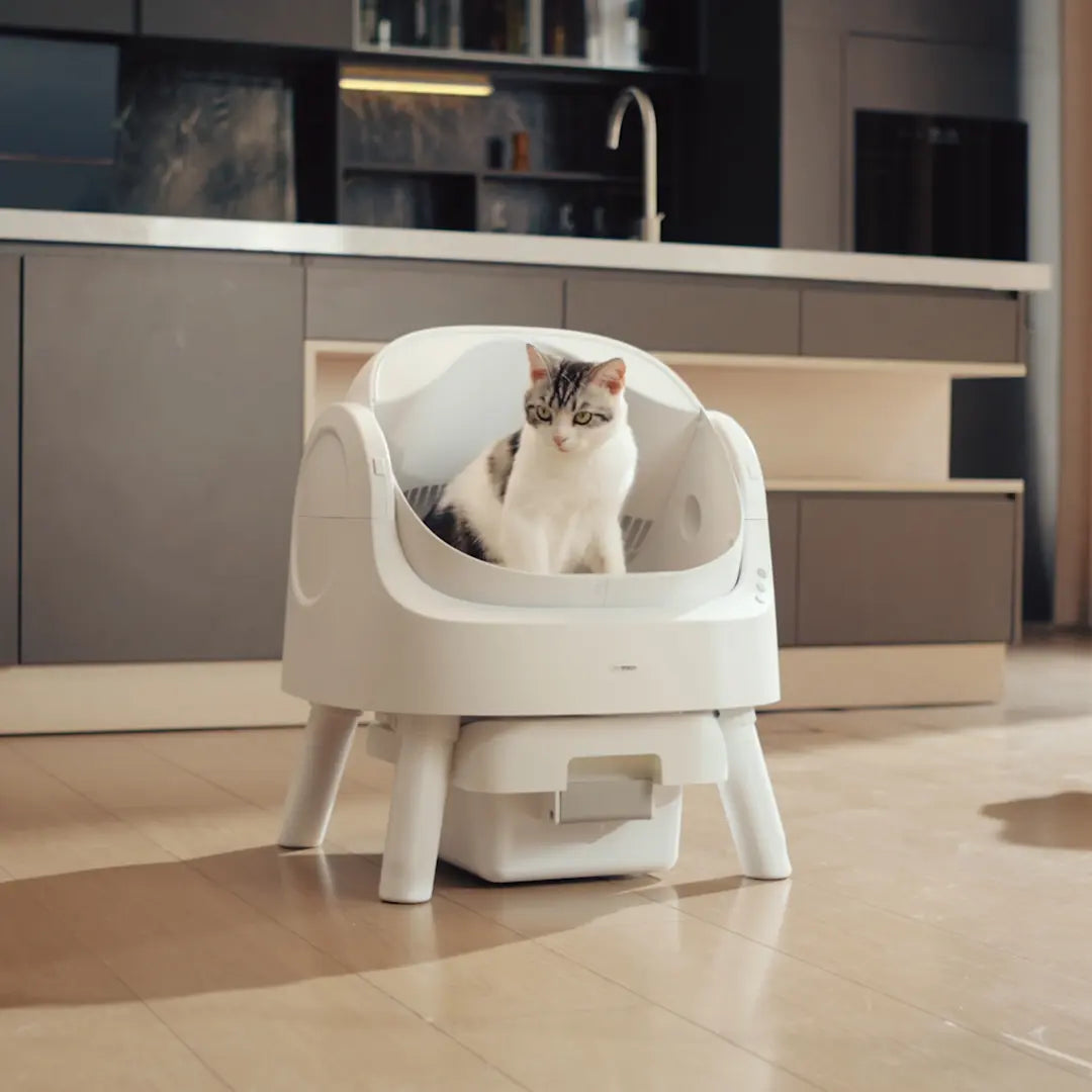 Automatic Cat Litter Box-Self Cleaning