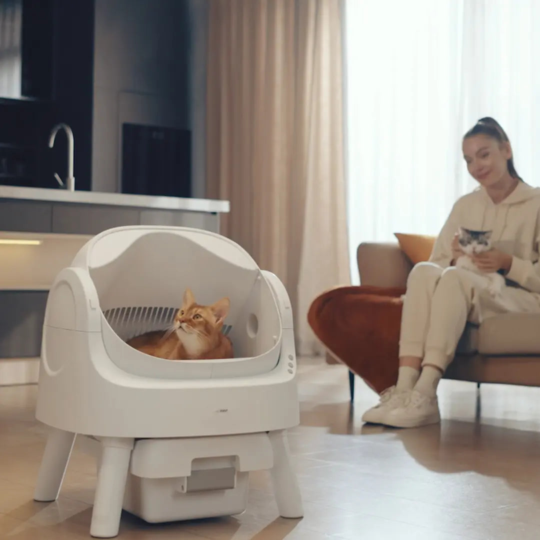 Automatic Cat Litter Box-Self Cleaning