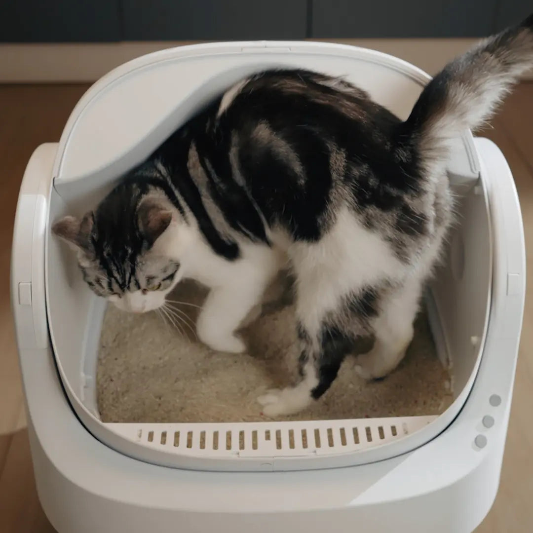 Automatic Cat Litter Box-Self Cleaning