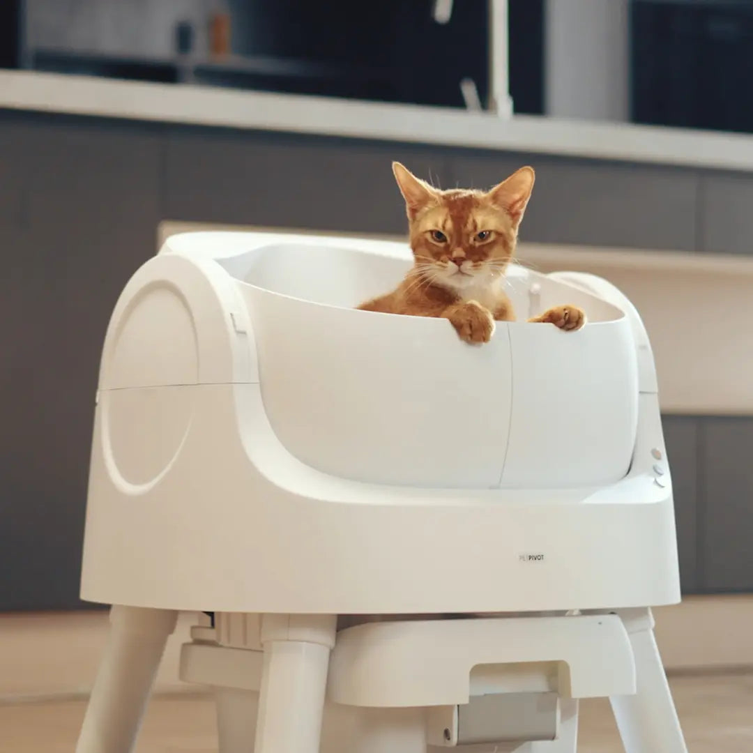 Automatic Cat Litter Box-Self Cleaning