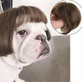 Pet Cosplay Wig