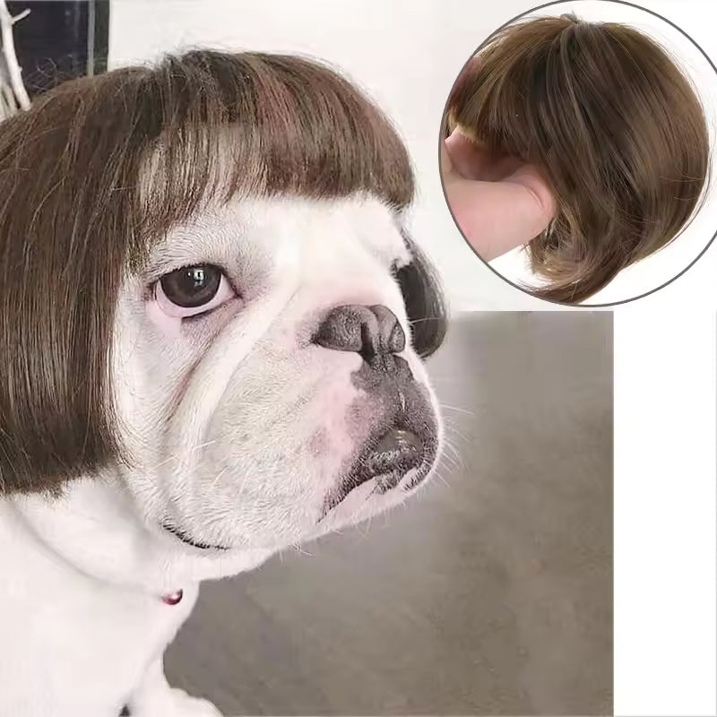 Pet Cosplay Wig
