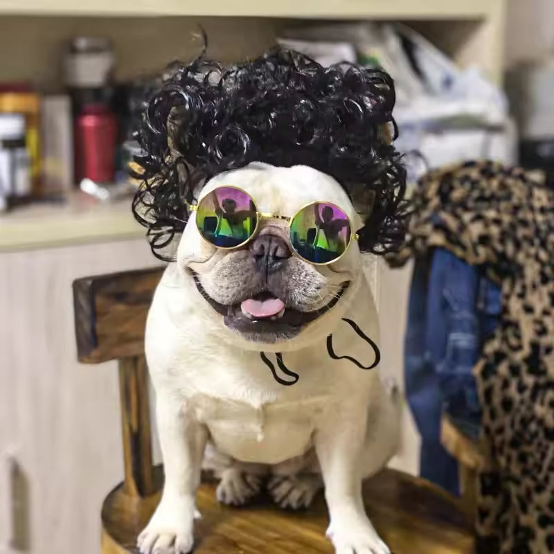 Pet Cosplay Wig