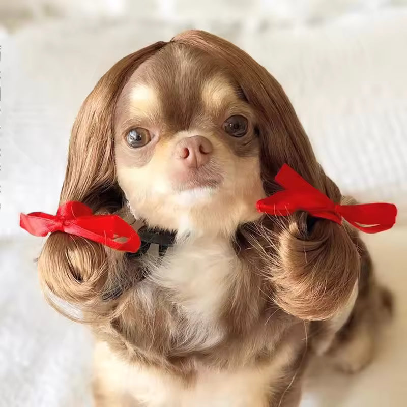 Pet Cosplay Wig