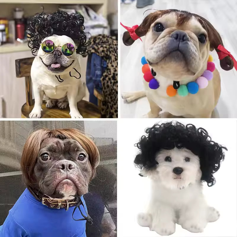 Pet Cosplay Wig