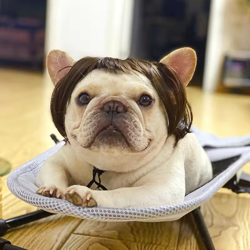 Pet Cosplay Wig