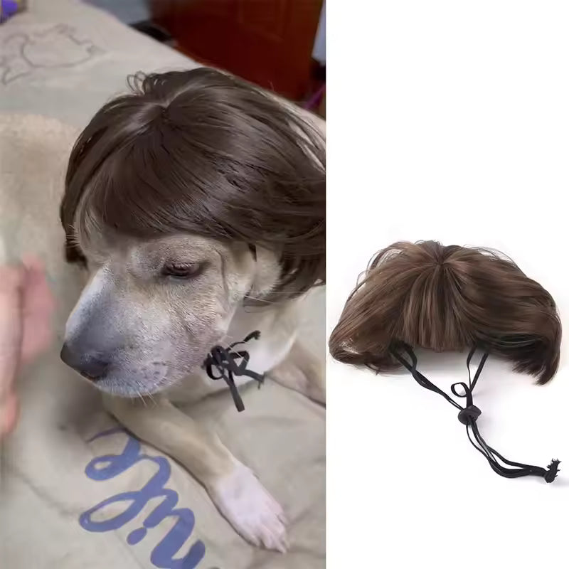 Pet Cosplay Wig
