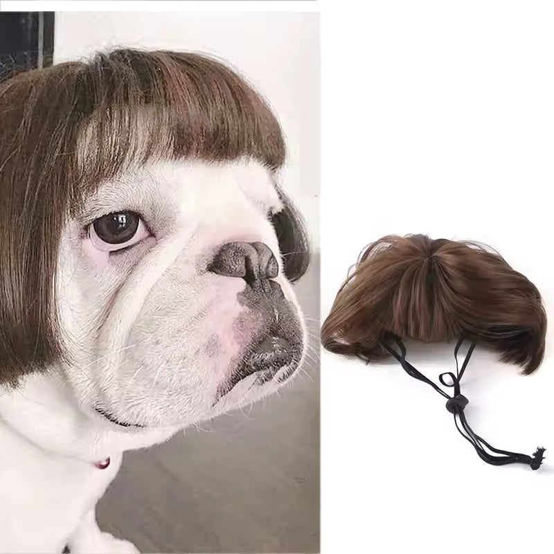 Pet Cosplay Wig