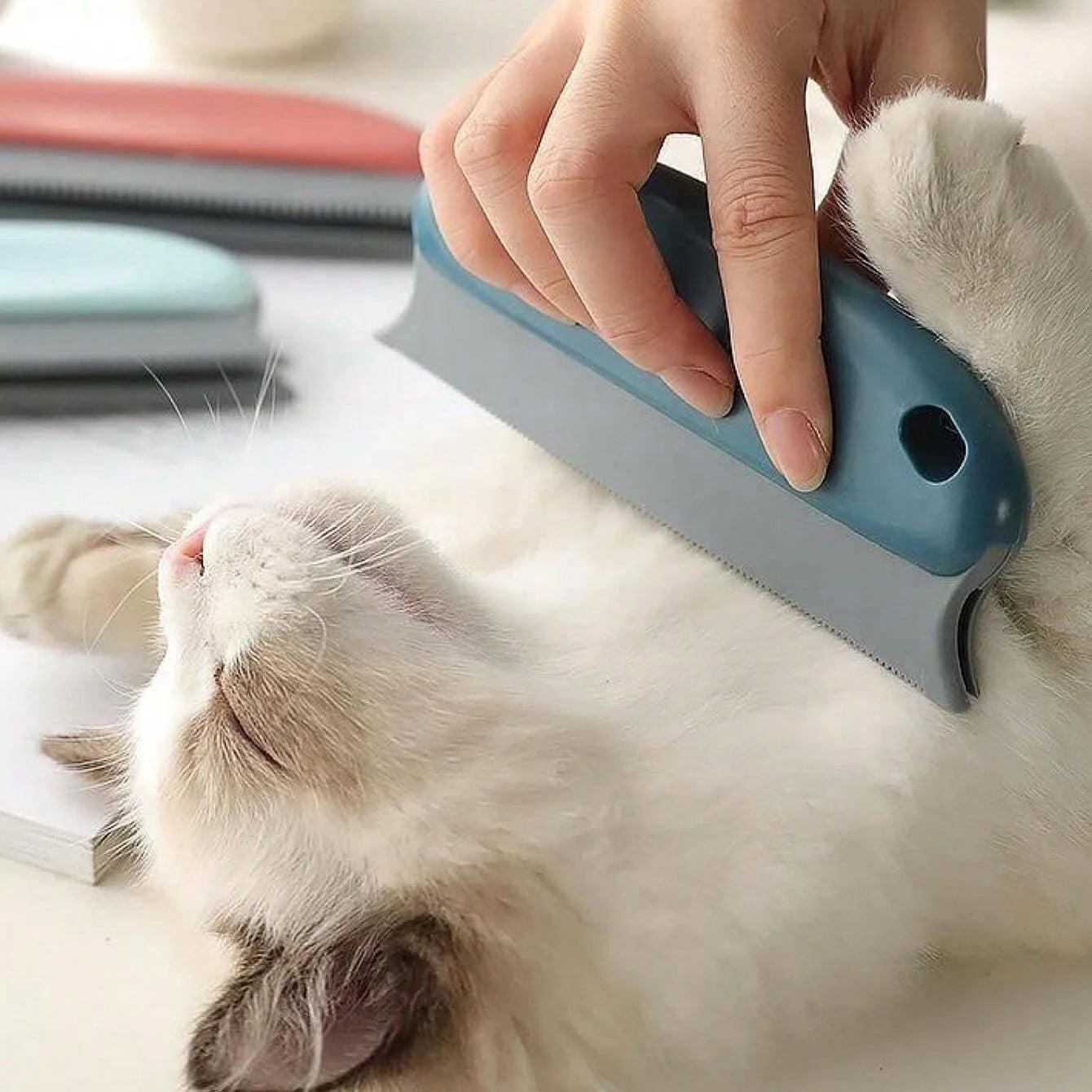Reusable Pet Hair Remover Brush