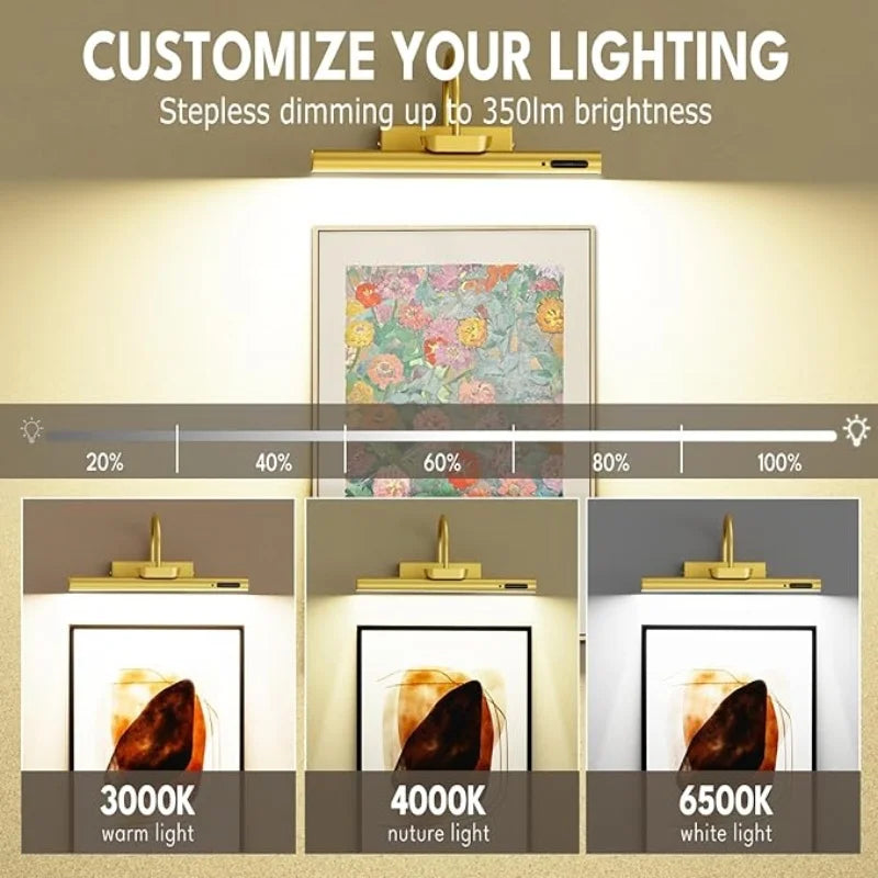 Cordless Picture Light