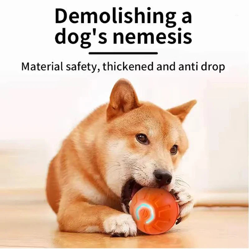 Rechargeable Pet Play Ball
