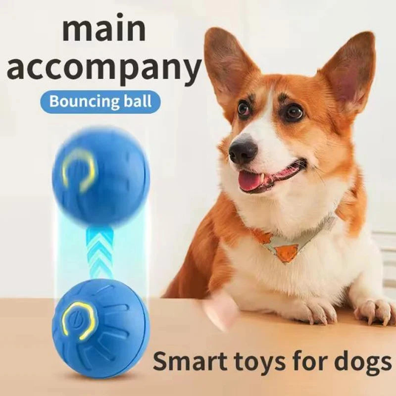 Rechargeable Pet Play Ball